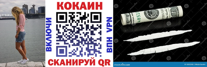 где найти   Выкса  COCAIN Fish Scale 