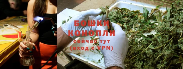 хмурый Рославль